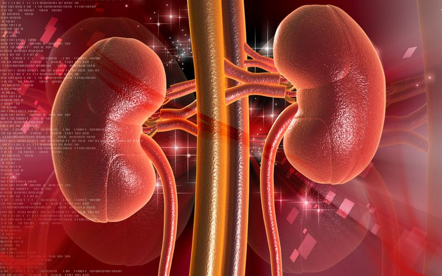Zydus develops new treatment for patients suffering from Chronic Kidney Disease